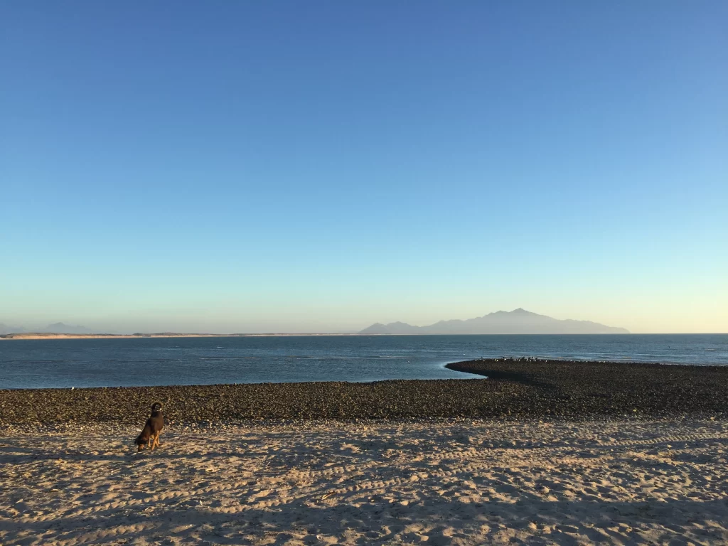 Vista del mar encontrándose con una orilla pedregosa bajo un cielo despejado